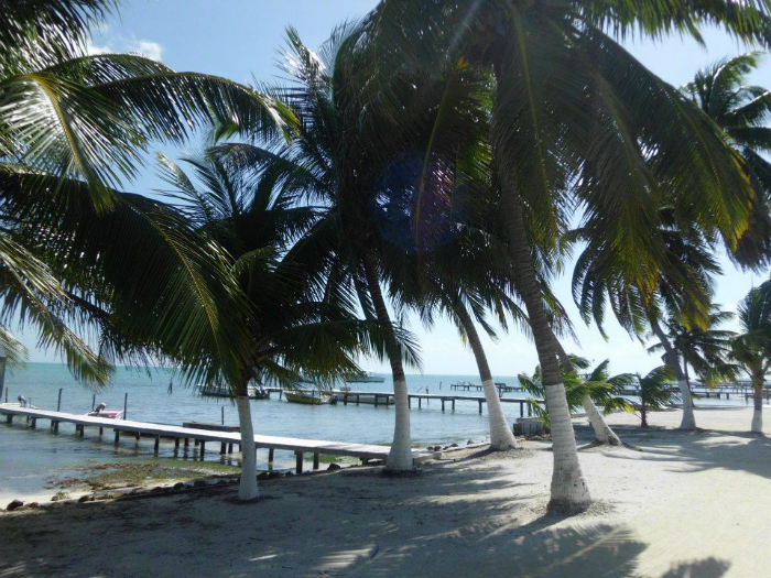 Caye Caulker (Belize)